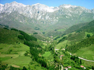 Liebiena